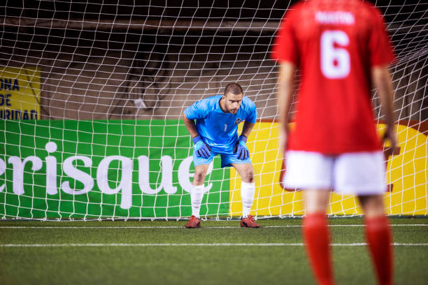 芒尽情绽放 芒尽情绽放