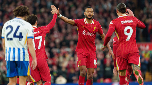 足球转会市 足球转会市